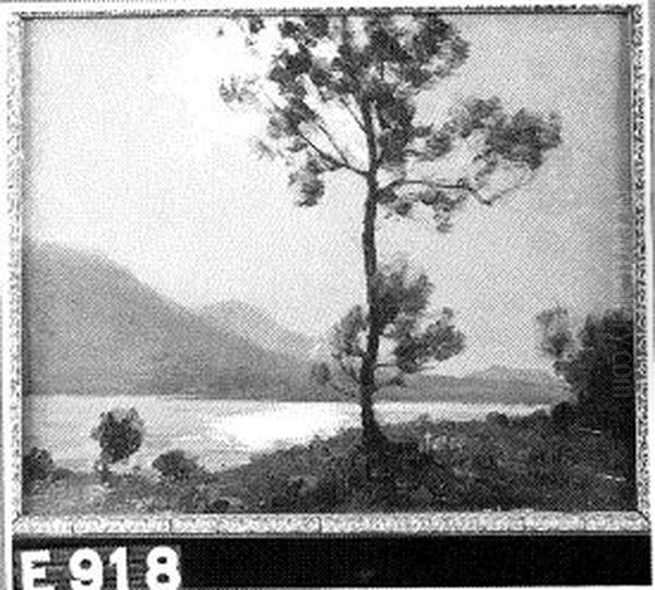Lac d'Aiguebelette - view 1