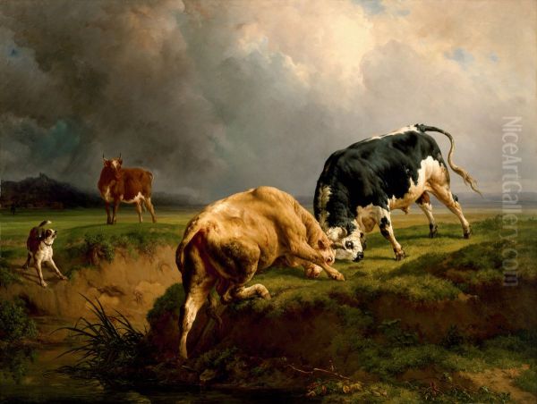 A Bull Fight - view 1