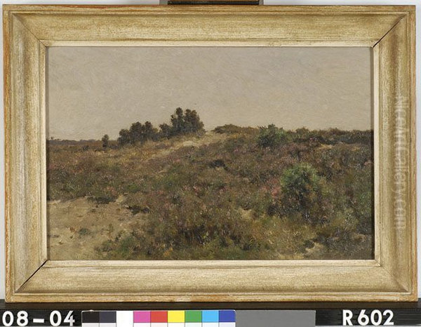 Dune landscape - view 1