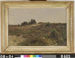 Dune landscape