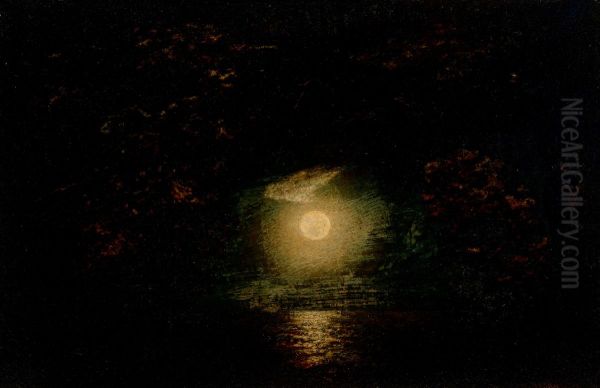 Moonlight - view 1