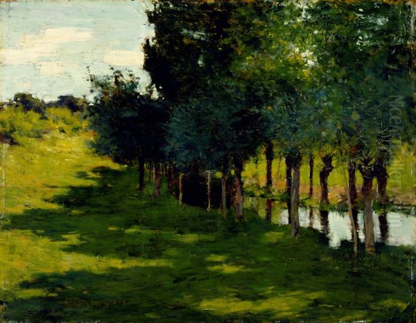 Sunlight and Shadow - view 1
