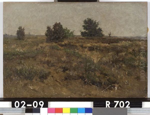 Landschap - view 1