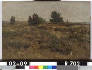 Landschap Landschap