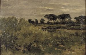 Duinlandschap Duinlandschap