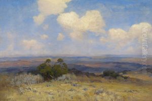 Sunlight and Shadow by Julian Onderdonk