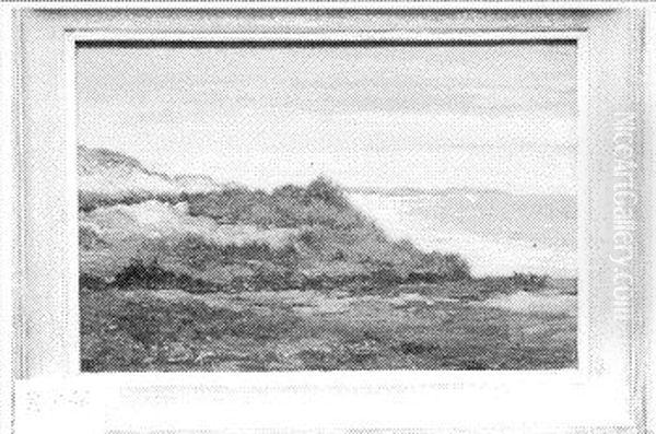 Duinen en zee - view 1