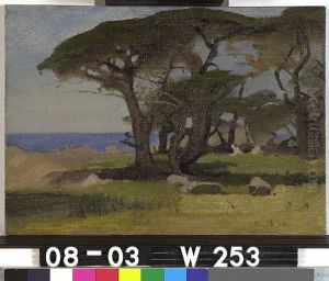 Zeedennen, Monterey Californie