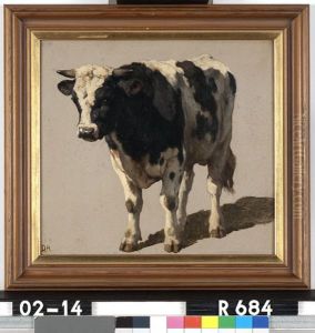 Studie van een stier by Johannes-Hubertus-Leonardus de Haas