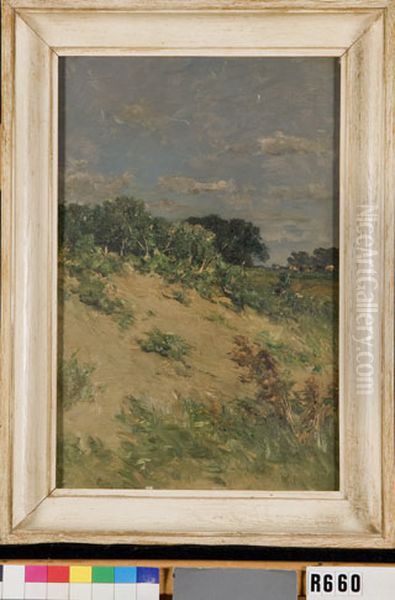 Duinhelling - view 1