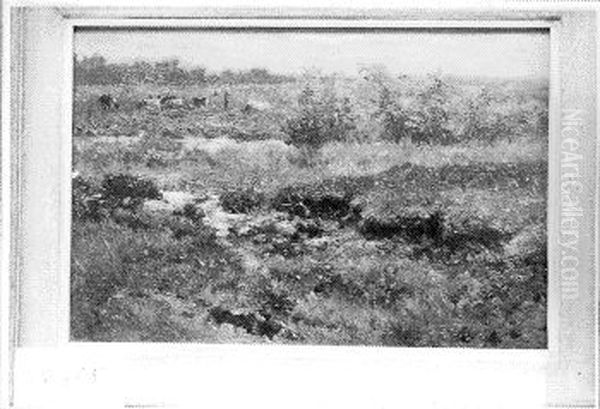 Moerasachtig landschap - view 1