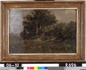 Berkenbosje Berkenbosje