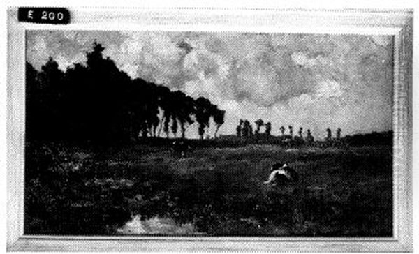 Weiland aan de veerweg, Wamel - view 1