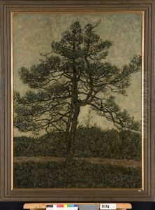 Denneboom Denneboom