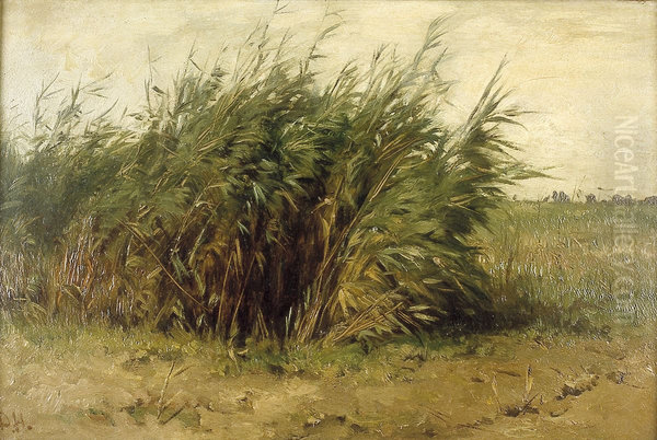 Riet - view 1