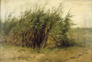 Riet Riet
