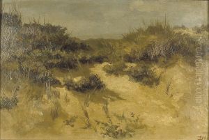 Duinlandschap
