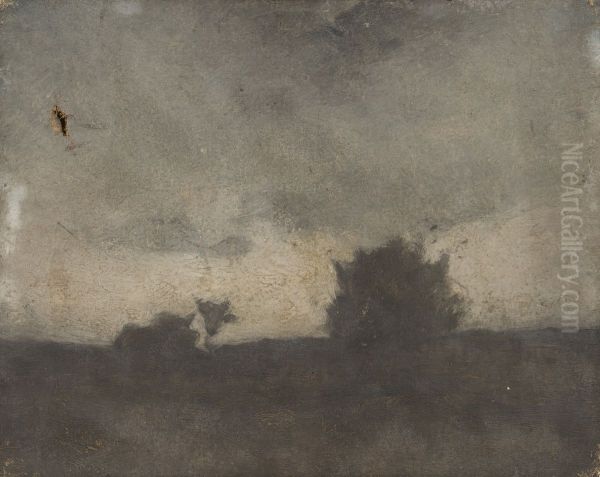Landschap bij avond - view 1
