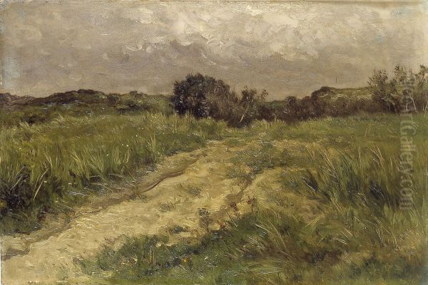 Zandpad in de duinen - view 1