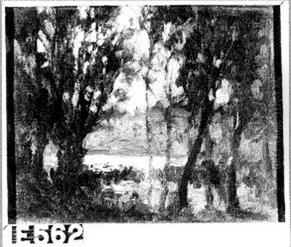 La mare - view 1