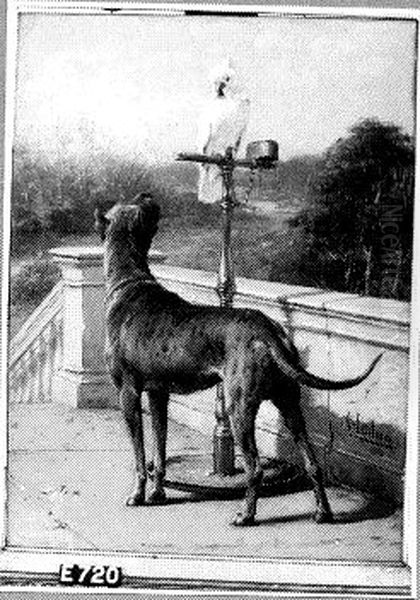 Hond met papegaai - view 1