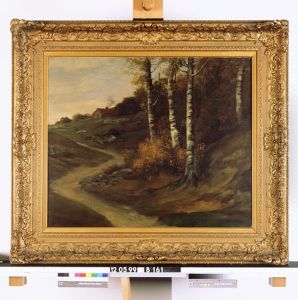 Landschap met berken