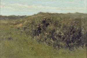 Duinlandschap Duinlandschap
