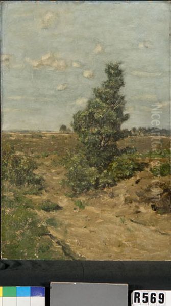 Boompje in weide - view 1