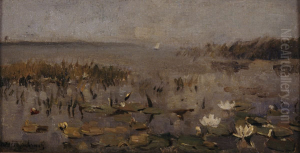 Waterlelies - view 1