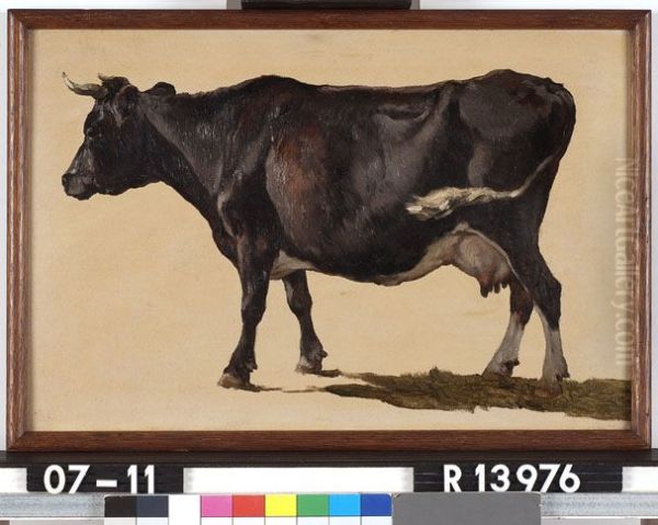 Studie van een zwartbonte koe - view 1