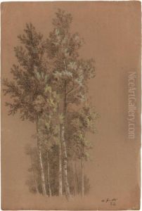 A Group Of Trees by Jean-Michel Cels