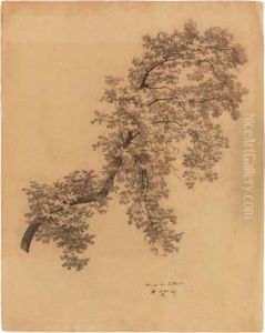 Study Of A Tree Branch With Leaves by Jean-Michel Cels