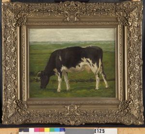 Heifer Heifer