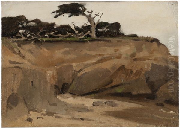 Zanderij bij Monterey Californie - view 1