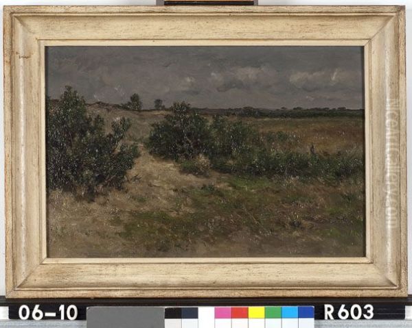 Landschap - view 1