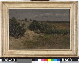 Landschap Landschap
