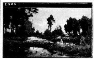 Drassig landschap Drassig landschap