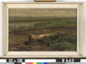 Landschap met boomstam en sloot