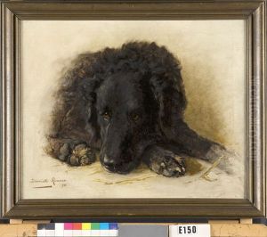 Een zwarte hond Een zwarte hond