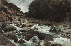Mountain Stream, Otira Gorge by Petrus van der Velden