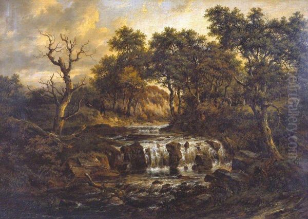 Landscape - view 1