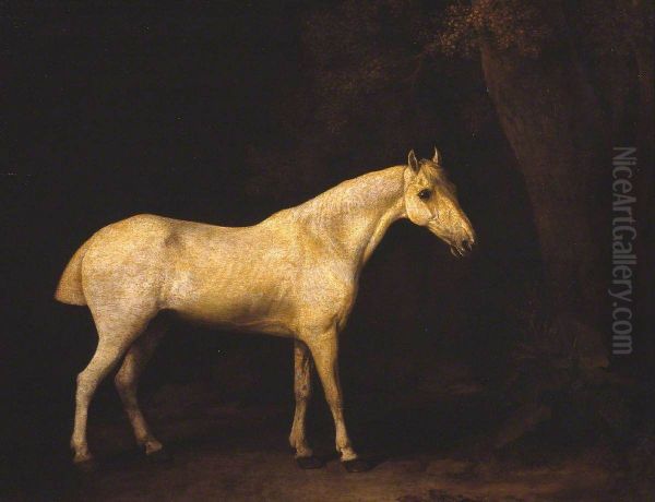 Horse in the Shade of a Wood - view 1