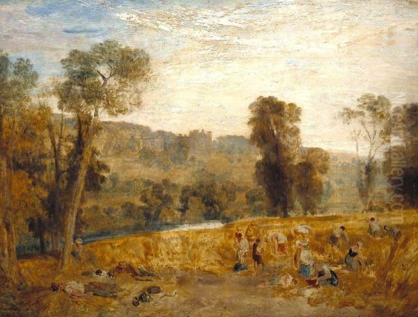 Reaping - view 1