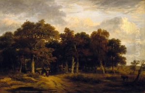 Woody Landscape Woody Landscape