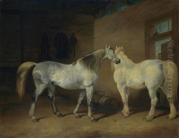 Draught Horses - view 1