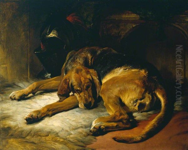 Sleeping Bloodhound - view 1