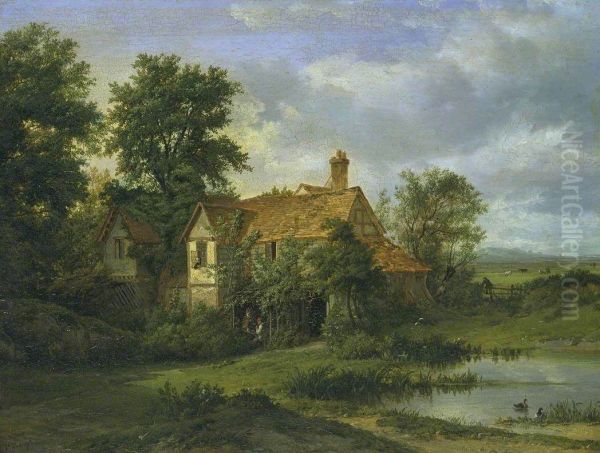 Landscape - view 1