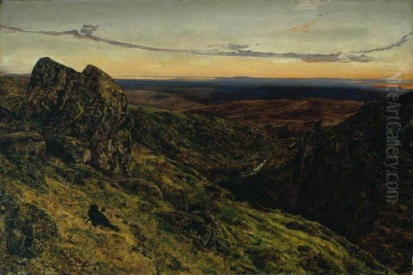 The Moorland (Dewar-stone, Dartmoor) - view 1