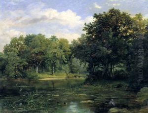 Lake in a Park