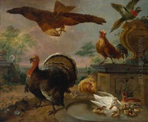 A Turkey and other Fowl in a Park by Jan Griffier I